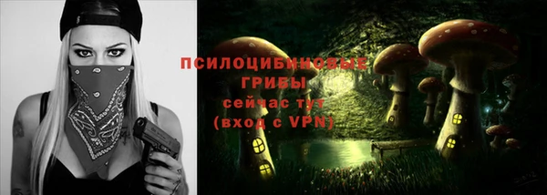 винт Коряжма