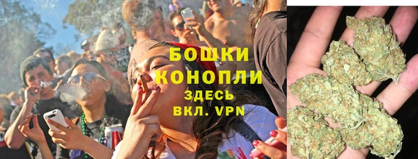 прущие грибы Козельск