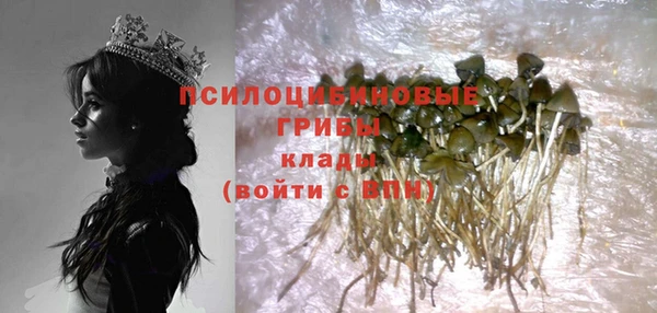 спайс Козловка