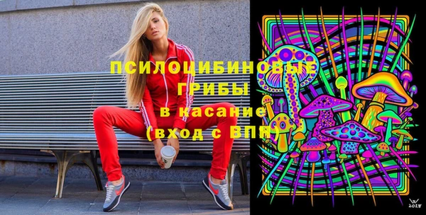 прущие грибы Козельск