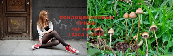 apvp Костерёво