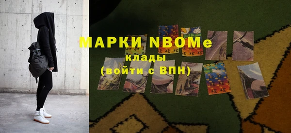 прущие грибы Козельск