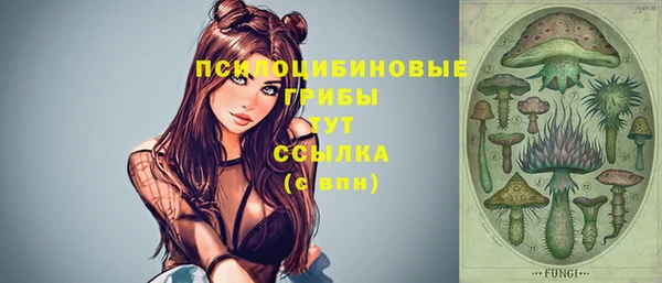 винт Коряжма