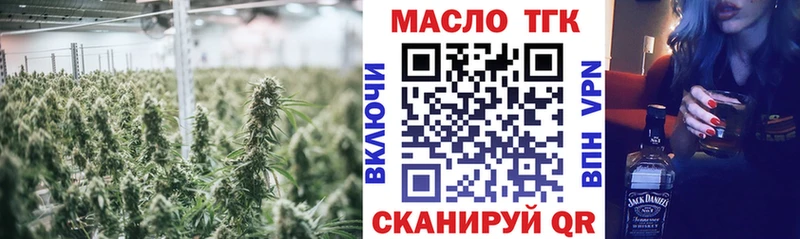 Купить где Вышний Волочёк ТГК жижа